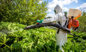 1561453936_obrabotka